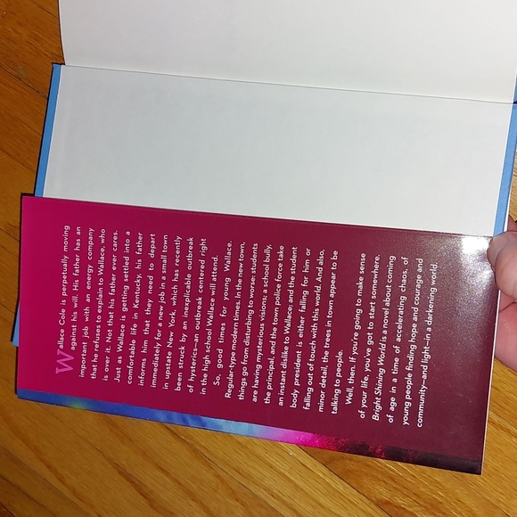 Bright Shining World by Josh Swiller - Picture 2 of 2